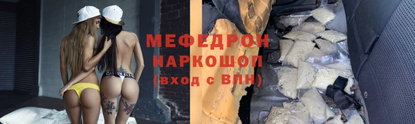 стаф Корсаков