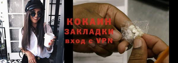 стаф Корсаков