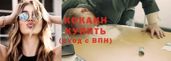 стаф Корсаков