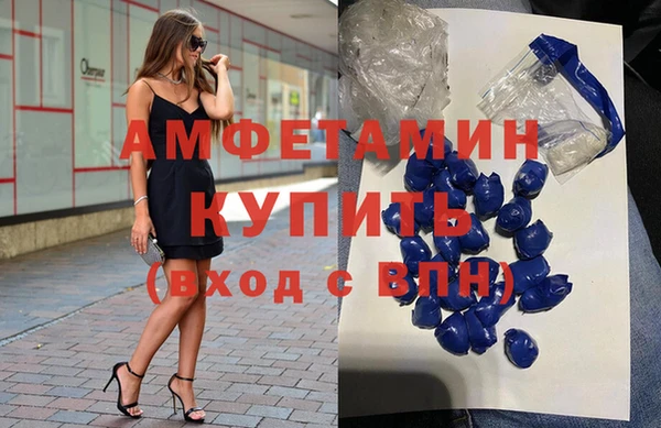стаф Корсаков