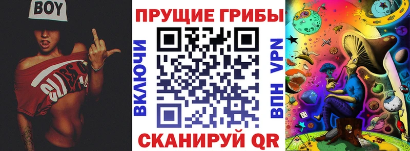 Купить закладки Кемь Псилоцибиновые грибы Psilocybine cubensis